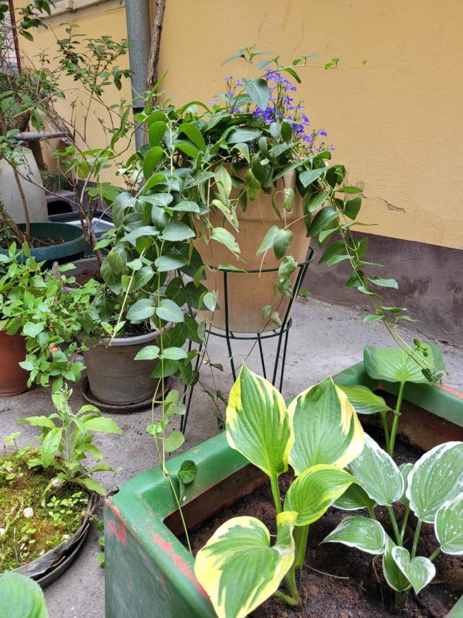 Secret Garden Apartment ซาเกร็บ ภายนอก รูปภาพ