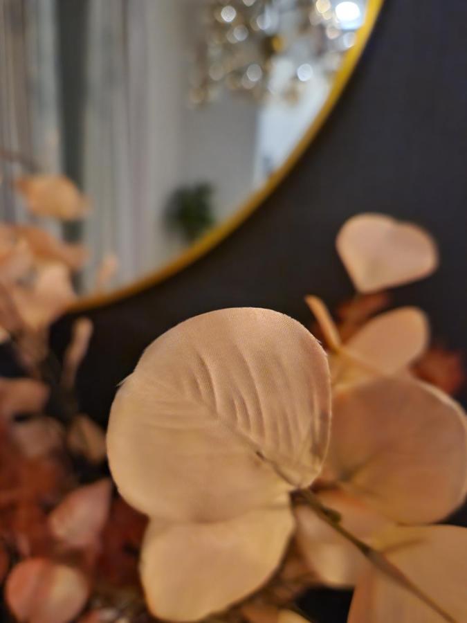 Secret Garden Apartment ซาเกร็บ ภายนอก รูปภาพ